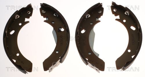 Stabdžių trinkelių komplektas TRISCAN 8100 43561