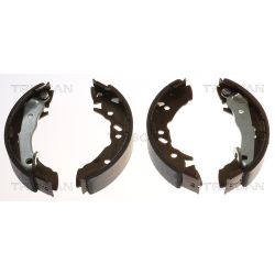 Stabdžių trinkelių komplektas TRISCAN 8100 43621