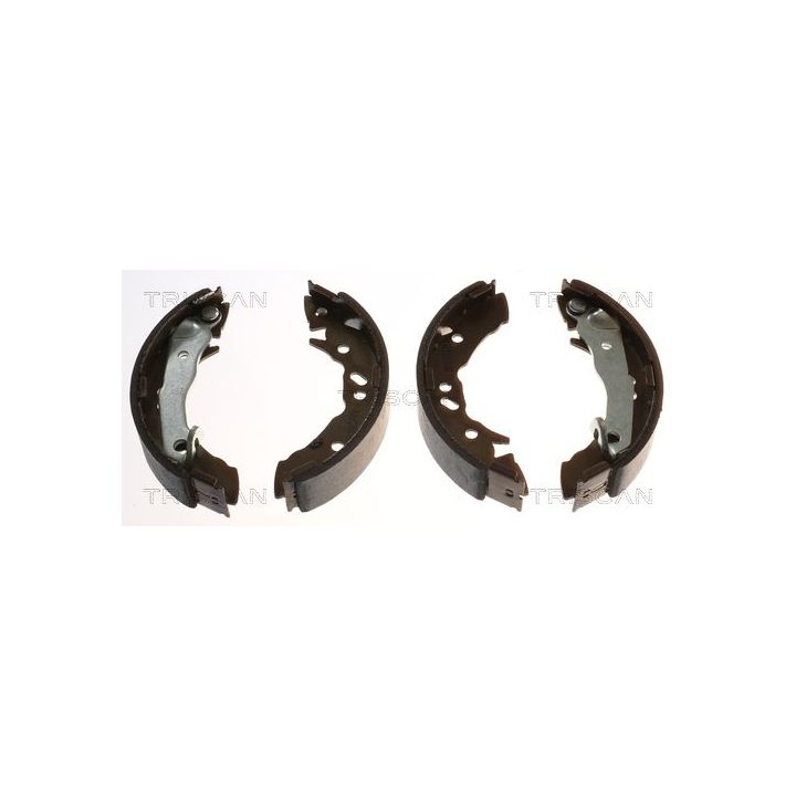 Stabdžių trinkelių komplektas TRISCAN 8100 43621