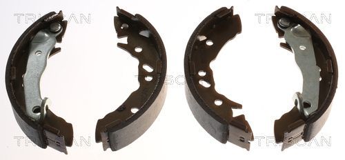 Stabdžių trinkelių komplektas TRISCAN 8100 43621