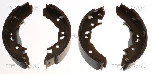 Stabdžių trinkelių komplektas TRISCAN 8100 43621