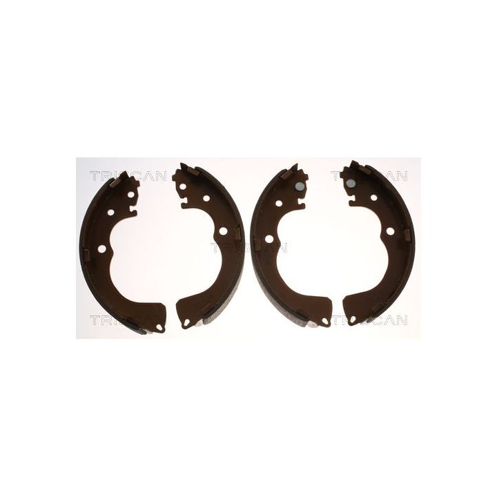 Stabdžių trinkelių komplektas TRISCAN 8100 50001