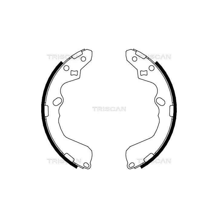 Stabdžių trinkelių komplektas TRISCAN 8100 50002