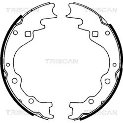 Stabdžių trinkelių komplektas TRISCAN 8100 50461