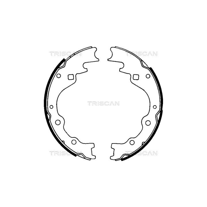 Stabdžių trinkelių komplektas TRISCAN 8100 50461