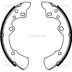 Stabdžių trinkelių komplektas TRISCAN 8100 50496