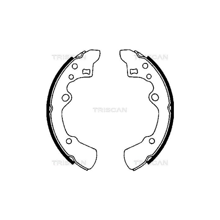 Stabdžių trinkelių komplektas TRISCAN 8100 50496