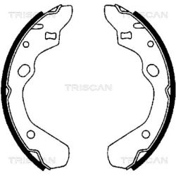 Stabdžių trinkelių komplektas TRISCAN 8100 50500