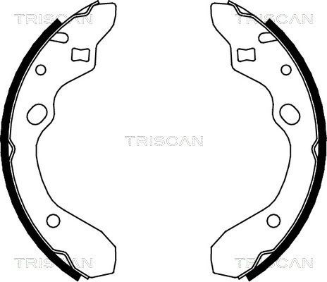Stabdžių trinkelių komplektas TRISCAN 8100 50546