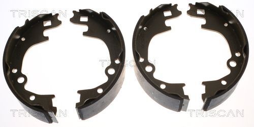 Stabdžių trinkelių komplektas TRISCAN 8100 50604
