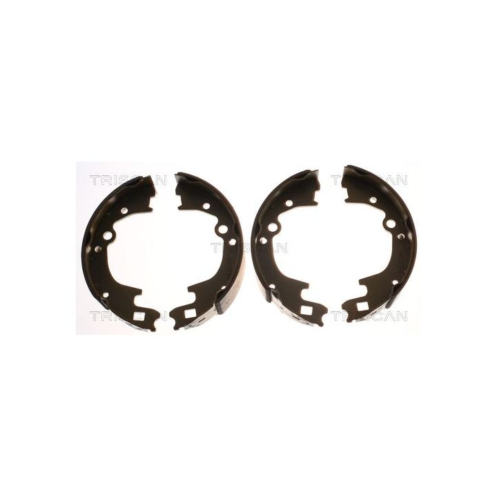 Stabdžių trinkelių komplektas TRISCAN 8100 50604