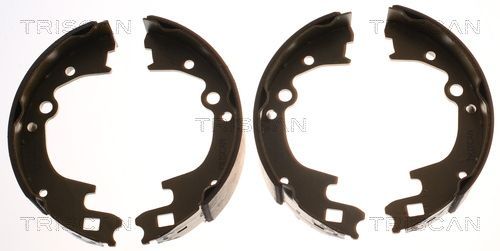 Stabdžių trinkelių komplektas TRISCAN 8100 50604