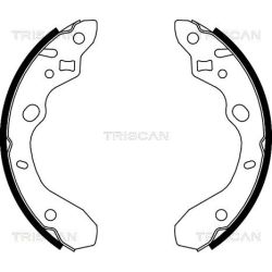 Stabdžių trinkelių komplektas TRISCAN 8100 50611