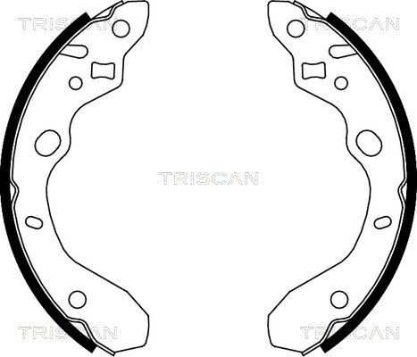 Stabdžių trinkelių komplektas TRISCAN 8100 50611