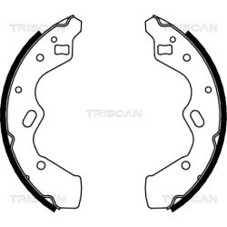 Stabdžių trinkelių komplektas TRISCAN 8100 50615