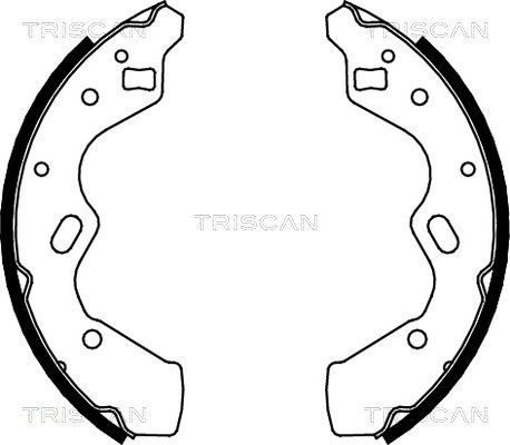 Stabdžių trinkelių komplektas TRISCAN 8100 50615