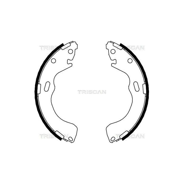 Stabdžių trinkelių komplektas TRISCAN 8100 50616