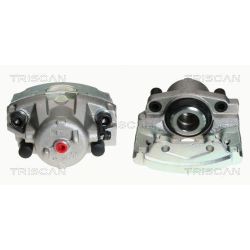 Stabdžių apkaba TRISCAN 8170 343093