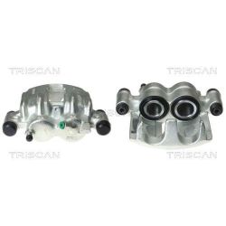 Stabdžių apkaba TRISCAN 8170 343220