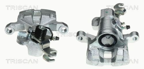 Stabdžių apkaba TRISCAN 8170 343493