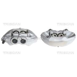 Stabdžių apkaba TRISCAN 8170 343613