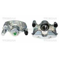 Stabdžių apkaba TRISCAN 8170 343620