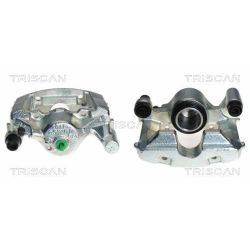 Stabdžių apkaba TRISCAN 8170 343621