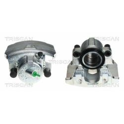 Stabdžių apkaba TRISCAN 8170 343701