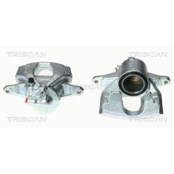 Stabdžių apkaba TRISCAN 8170 343988