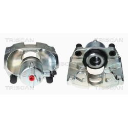 Stabdžių apkaba TRISCAN 8170 344003