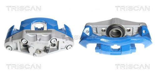 Stabdžių apkaba TRISCAN 8170 344019