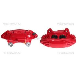 Stabdžių apkaba TRISCAN 8170 344903