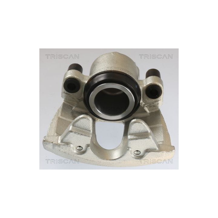 Stabdžių apkaba TRISCAN 8175 10108