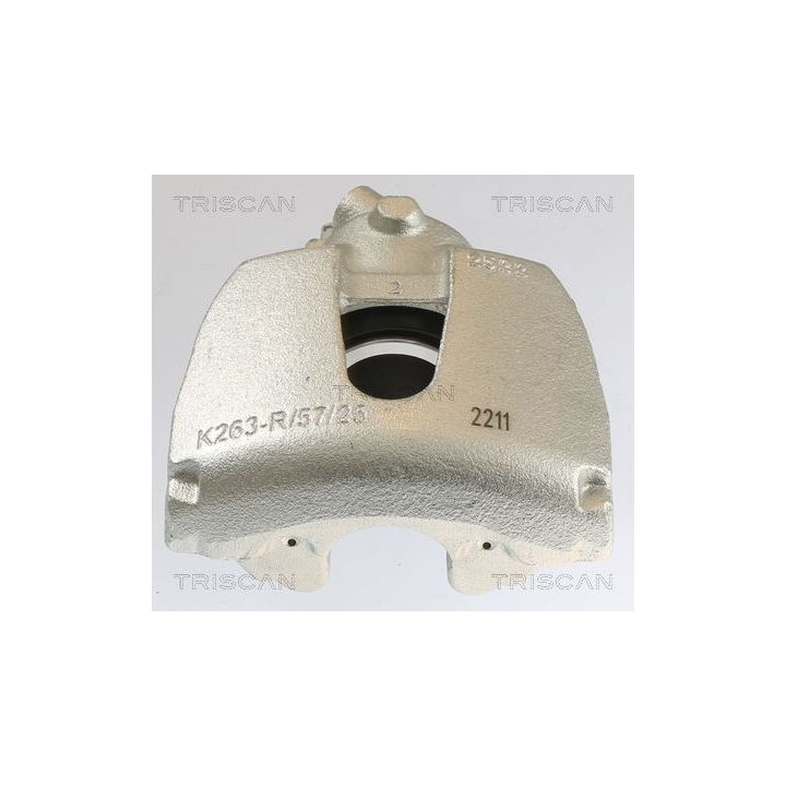 Stabdžių apkaba TRISCAN 8175 10108