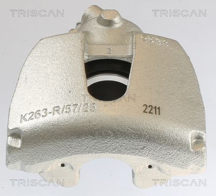 Stabdžių apkaba TRISCAN 8175 10108