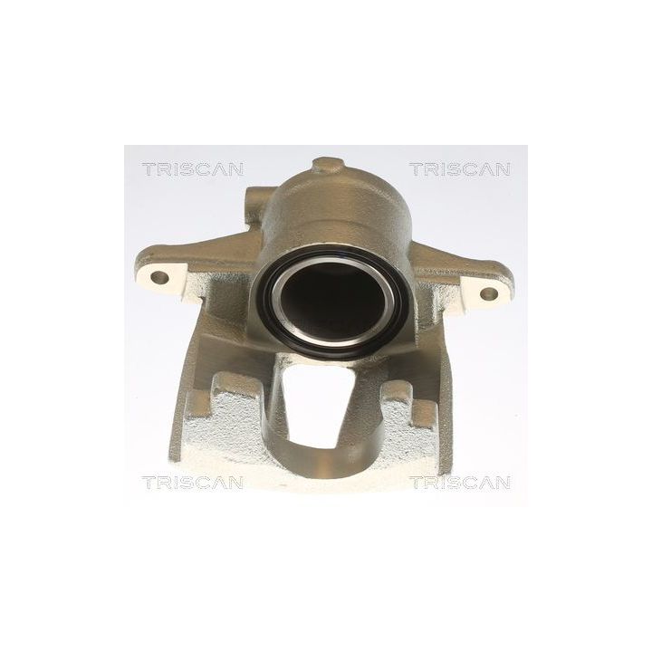 Stabdžių apkaba TRISCAN 8175 10109