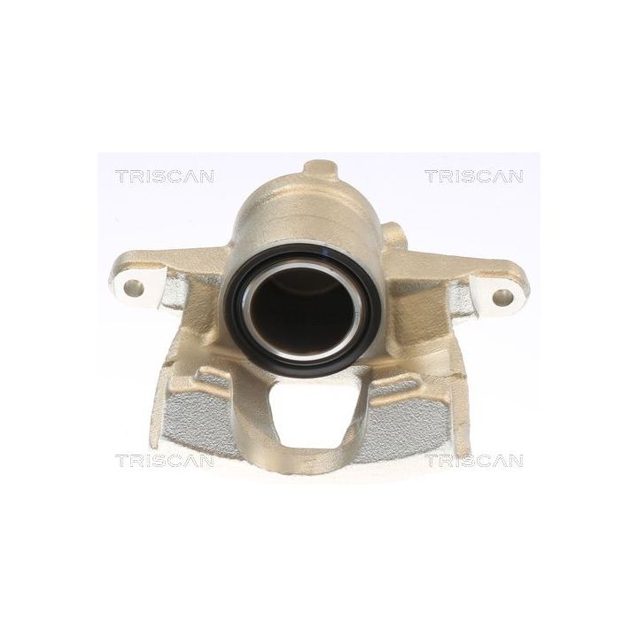 Stabdžių apkaba TRISCAN 8175 10130