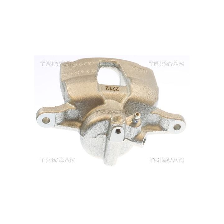 Stabdžių apkaba TRISCAN 8175 10130