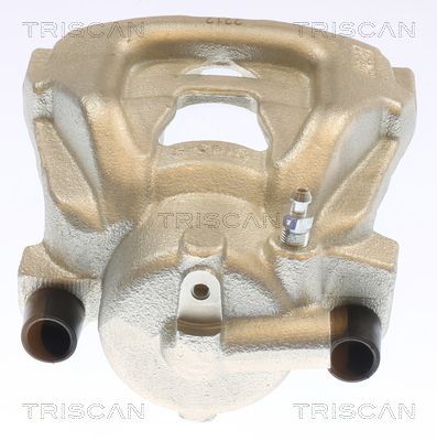 Stabdžių apkaba TRISCAN 8175 10132