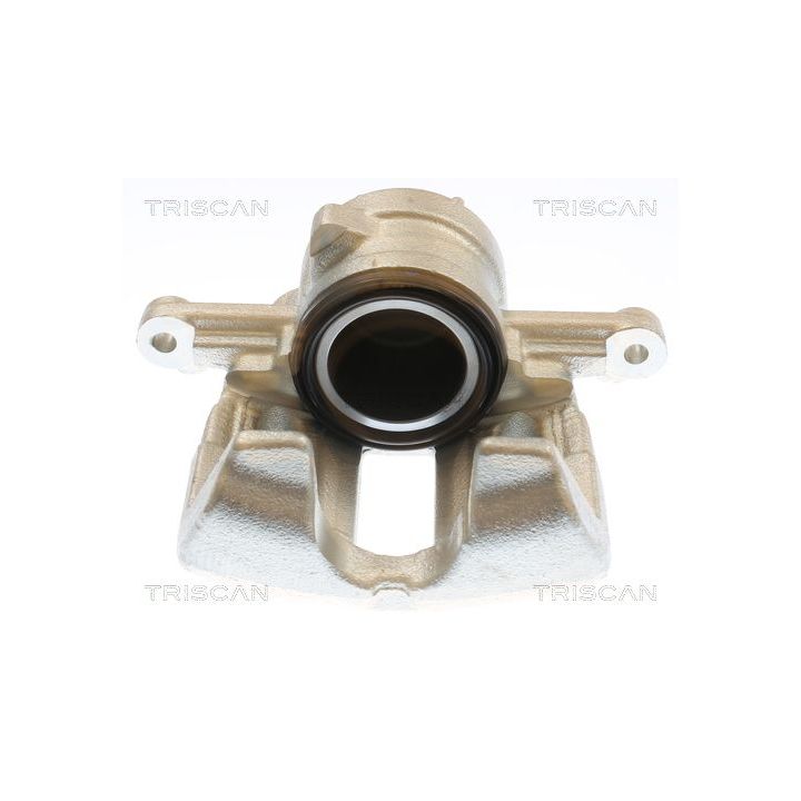 Stabdžių apkaba TRISCAN 8175 10133