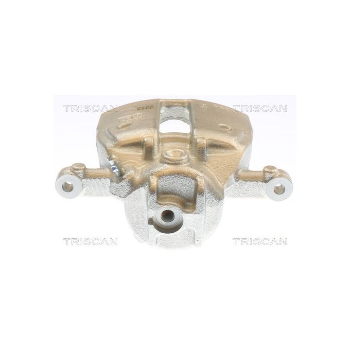 Stabdžių apkaba TRISCAN 8175 10133