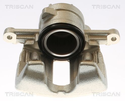 Stabdžių apkaba TRISCAN 8175 10134