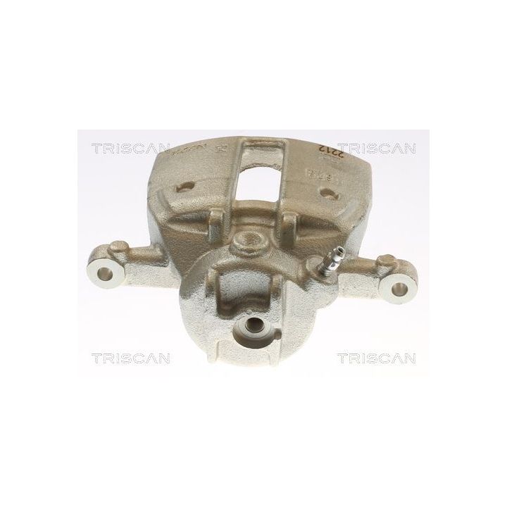 Stabdžių apkaba TRISCAN 8175 10134