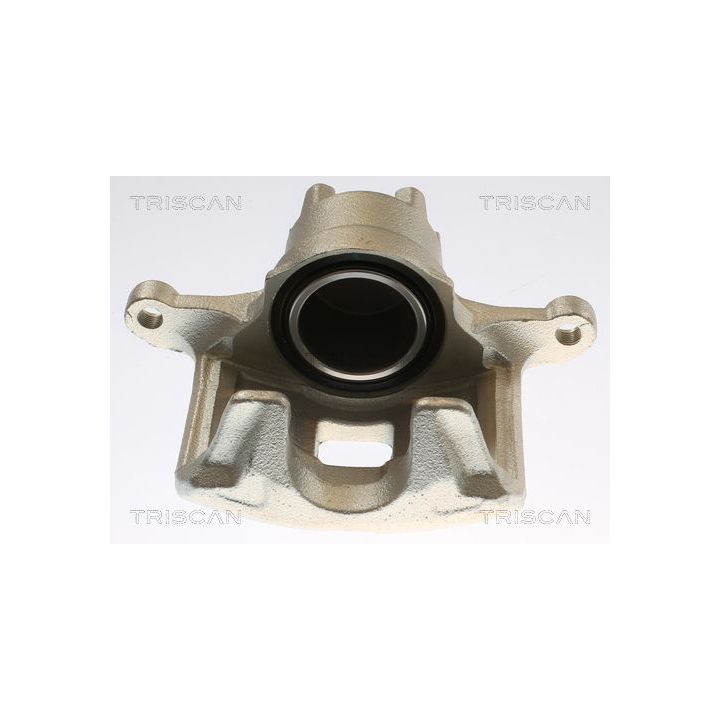 Stabdžių apkaba TRISCAN 8175 10135