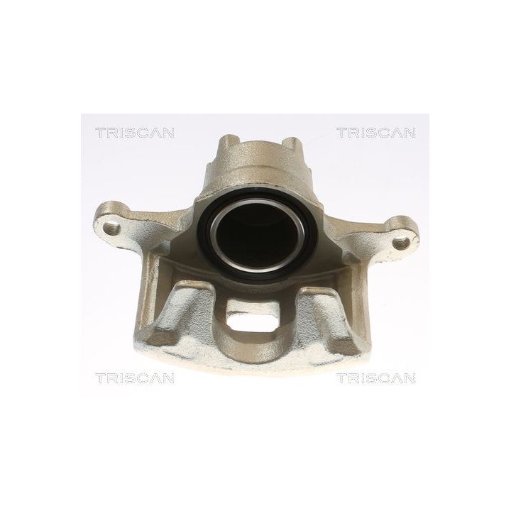 Stabdžių apkaba TRISCAN 8175 10136