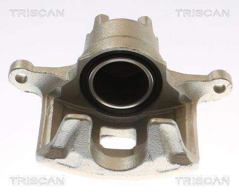 Stabdžių apkaba TRISCAN 8175 10136