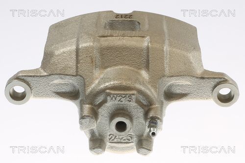 Stabdžių apkaba TRISCAN 8175 10136