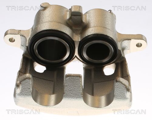 Stabdžių apkaba TRISCAN 8175 10138