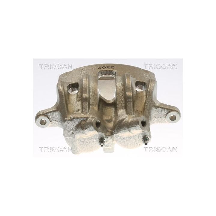 Stabdžių apkaba TRISCAN 8175 10138