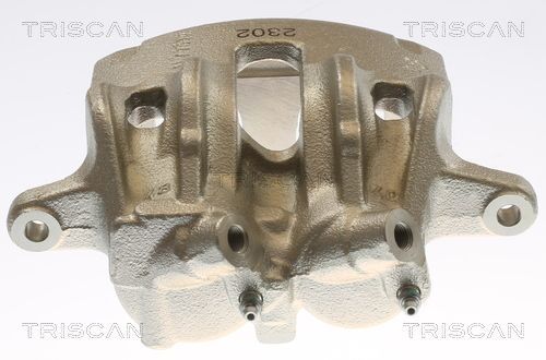 Stabdžių apkaba TRISCAN 8175 10138